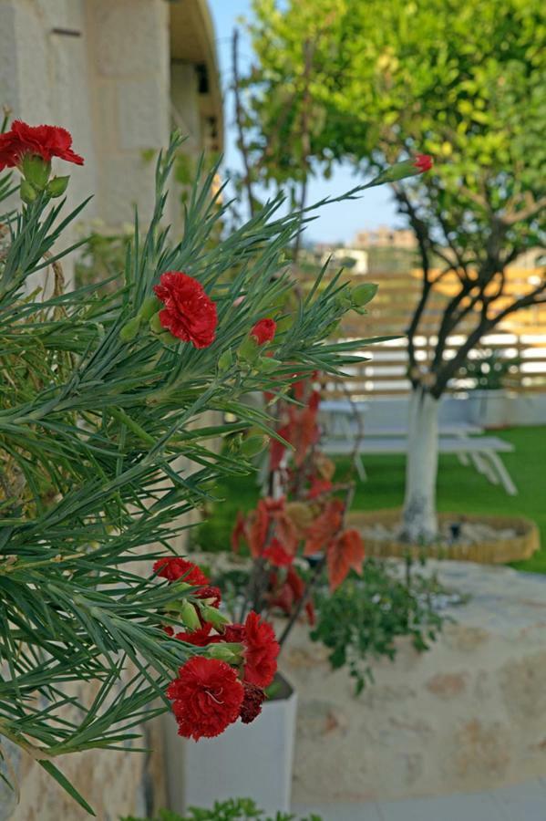 Nereides Home غوفي المظهر الخارجي الصورة